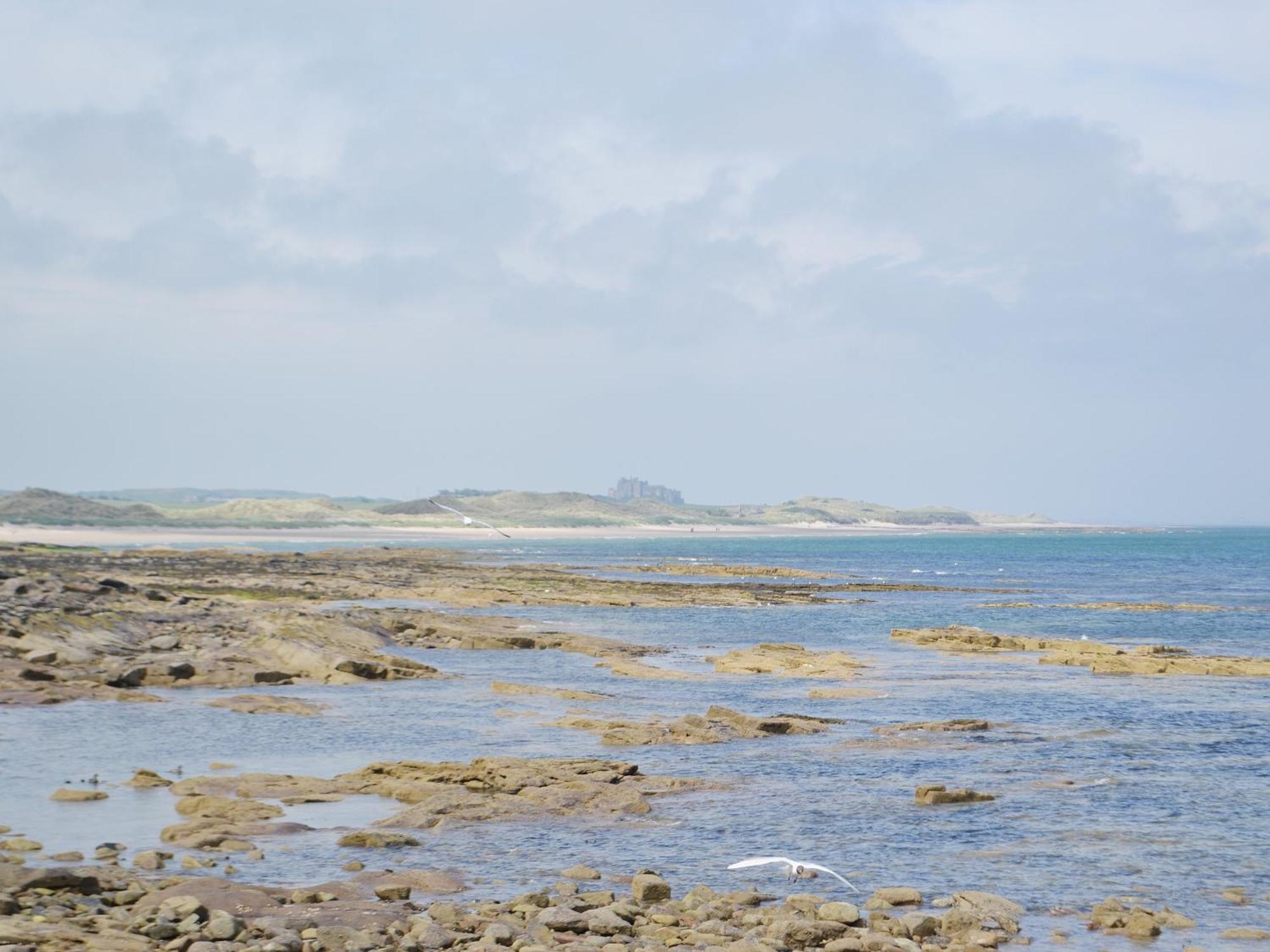 Erskine Cottage Seahouses Exteriér fotografie